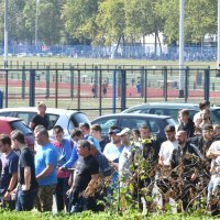 Red za ulaznicu Dinamo - Chelsea