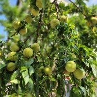 Samsung Galaxy Z Flip4 primjeri fotografija