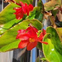 Samsung Galaxy Z Flip4 primjeri fotografija