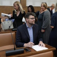 Peđa Grbin, Mirela Ahmetović