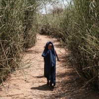 Rog Afrike petu je godinu bez kiše