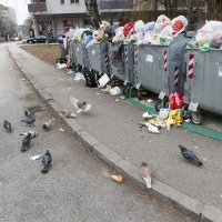 Gomila neodvezenog smeća stoji u kontejnerima na Vrbiku (2)