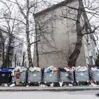 Gomila neodvezenog smeća stoji u kontejnerima na Vrbiku (6)