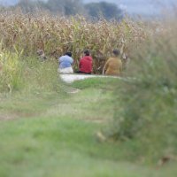 Željeznička nesreća kod Ludbrega