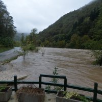 Izlila se rijeka Kupa