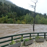 Izlila se rijeka Kupa