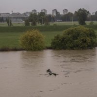 Vodostaj Save u Zagrebu je vrlo visok