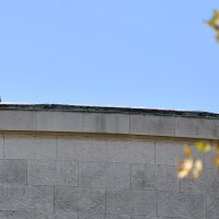 Performans Straza na Rajni na krovu HDLU-a