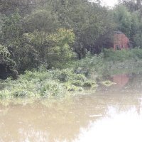 Vodeni val niz rijeku Kupu probio nasip