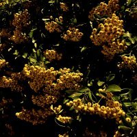 iPhone 14 primjeri fotografija