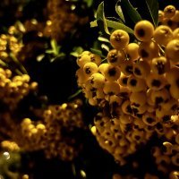 iPhone 14 primjeri fotografija