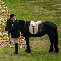 Poni kraljice Elizabete II