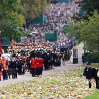 Poni kraljice Elizabete II