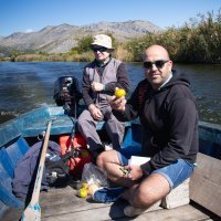 Berba mandarina u dolini Neretve