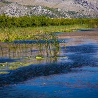 Rukavci na delti rijeke Neretve