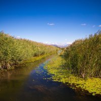 Rukavci na delti rijeke Neretve
