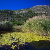 Rukavci na delti rijeke Neretve