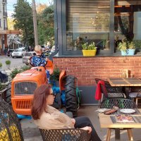 Djecu se u Moldovi rano uči igrati se alatom od kojeg će vjerojatno živjeti