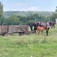 Neke dijelove Moldove i istoka Europe energetska kriza nije pogodila