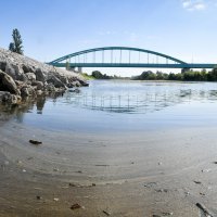 Niski vodostaj Save, kolovoz 2022.