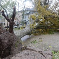 Oluja Fiona poharala Kanadu