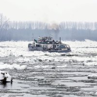 Mađarski ledolomac čisti Dunav od leda 01