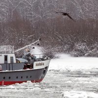 Mađarski ledolomac čisti Dunav od leda 04