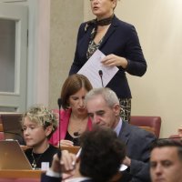 Karolina Vidović Krišto