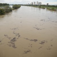 Sava se izlila iz korita