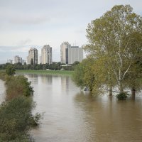 Sava se izlila iz korita