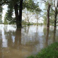 Sava se izlila iz korita