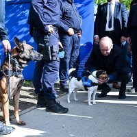 Davor Božinović na proslavi Dana policije na Jarunu