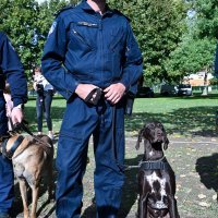 Davor Božinović na proslavi Dana policije na Jarunu