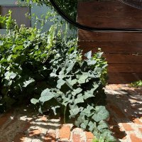 iPhone 14 Pro Max primjeri fotografija