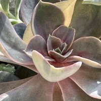 iPhone 14 Pro Max primjeri fotografija