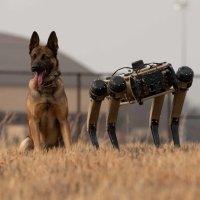 Ghost Robotics roboti