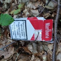 Migrantska 'baza' u šumi kod Pokupskog