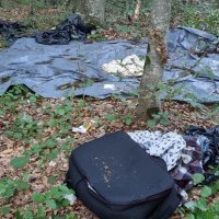 Migrantska 'baza' u šumi kod Pokupskog