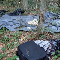 Migrantska 'baza' u šumi kod Pokupskog