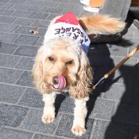 Prosvjed za Assangea u Londonu