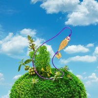 Borboleta x Sovilj (2022. god)