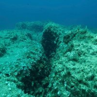 Utjecaj tektonskih ploča na podmorje