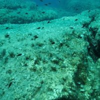 Utjecaj tektonskih ploča na podmorje