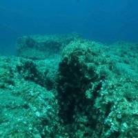 Utjecaj tektonskih ploča na podmorje