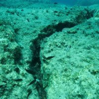 Utjecaj tektonskih ploča na podmorje