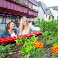 Andernach, jestivi grad u Njemačkoj