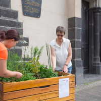Andernach, jestivi grad u Njemačkoj