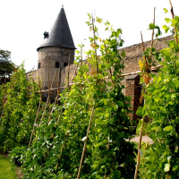 Andernach, jestivi grad u Njemačkoj