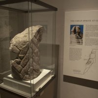 4 Brada sfinge Pinterest