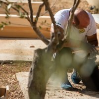 Apfel Arena, Mijo Pašalić